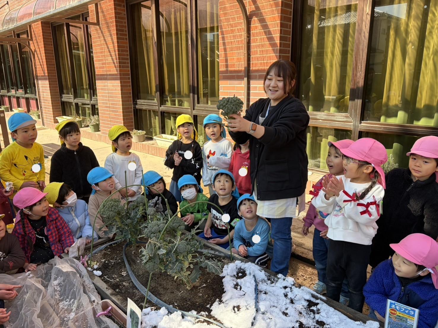 年中組　～ブロッコリー食べたよ～